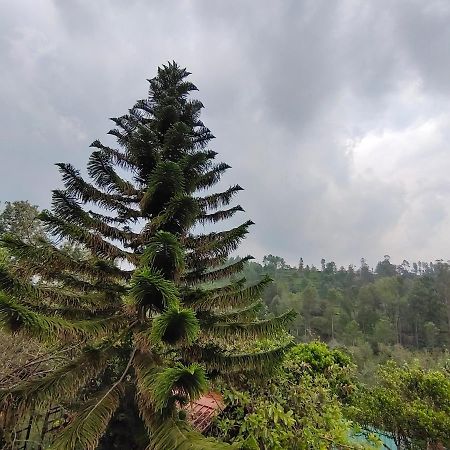 Silver Spruce Entire Nature Villa Kotagiri Exteriér fotografie