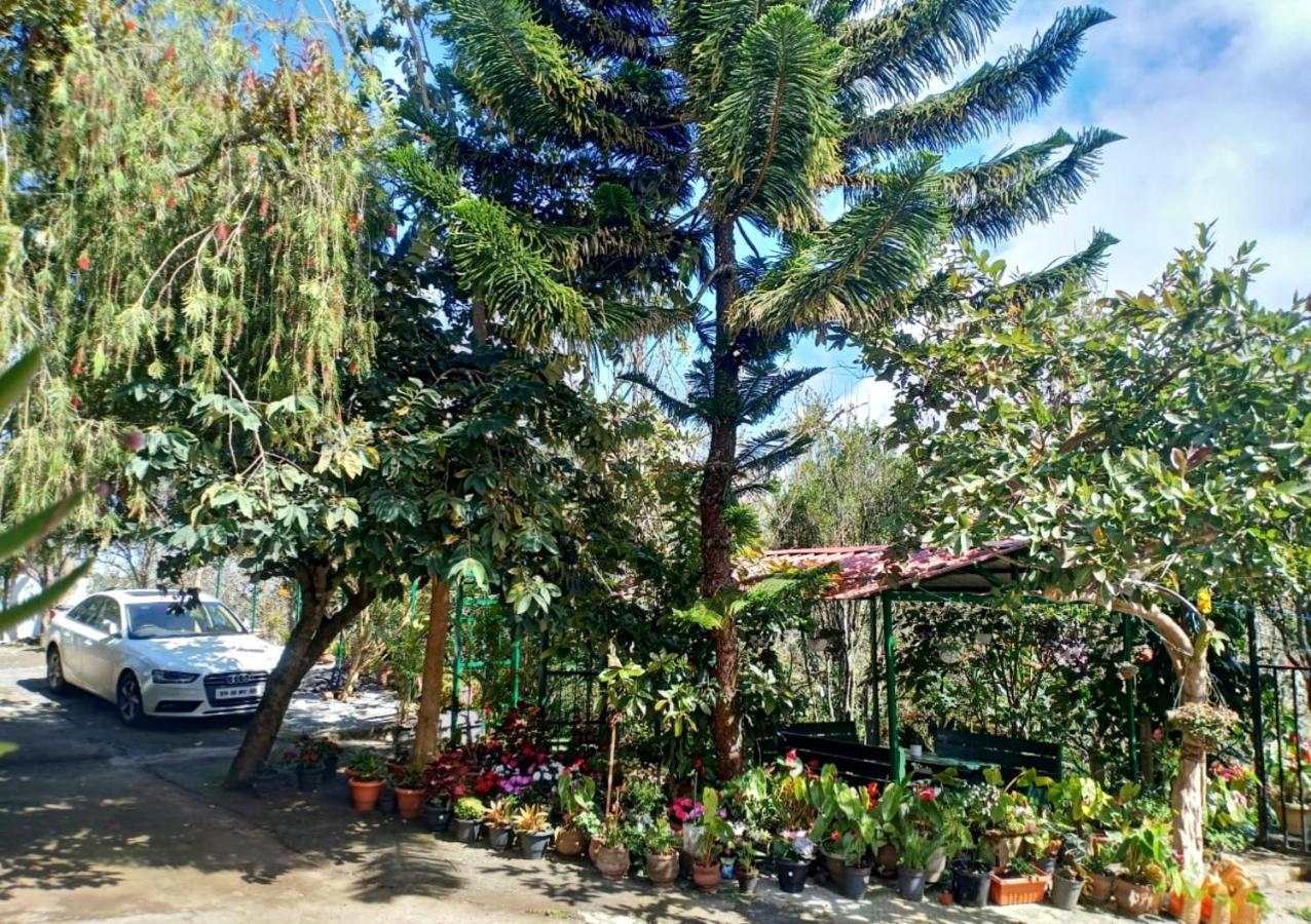 Silver Spruce Entire Nature Villa Kotagiri Exteriér fotografie