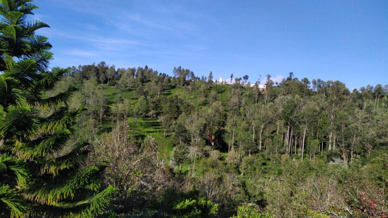 Silver Spruce Entire Nature Villa Kotagiri Exteriér fotografie
