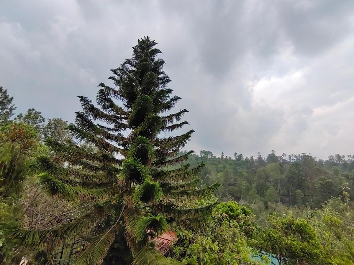 Silver Spruce Entire Nature Villa Kotagiri Exteriér fotografie