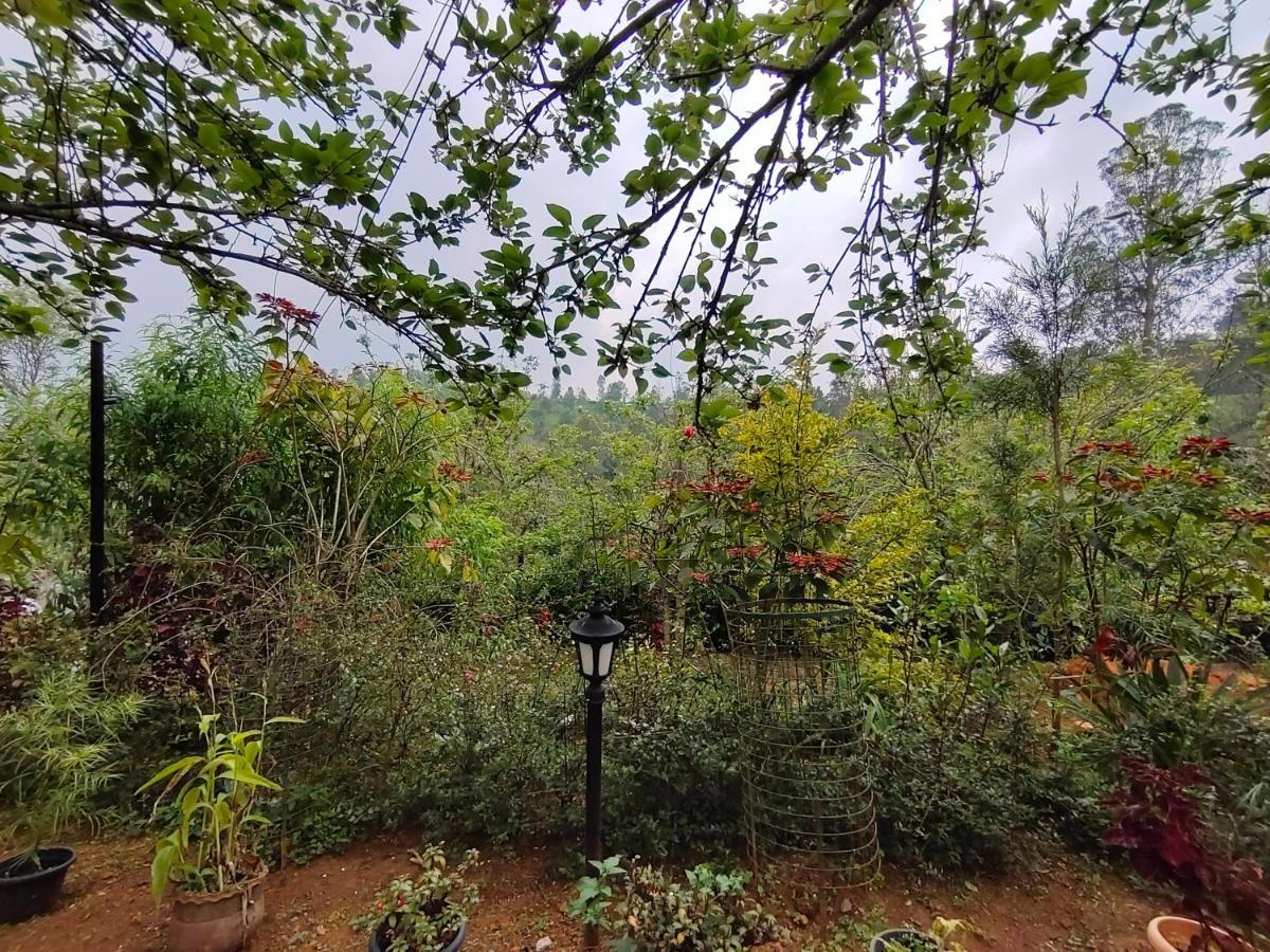 Silver Spruce Entire Nature Villa Kotagiri Exteriér fotografie