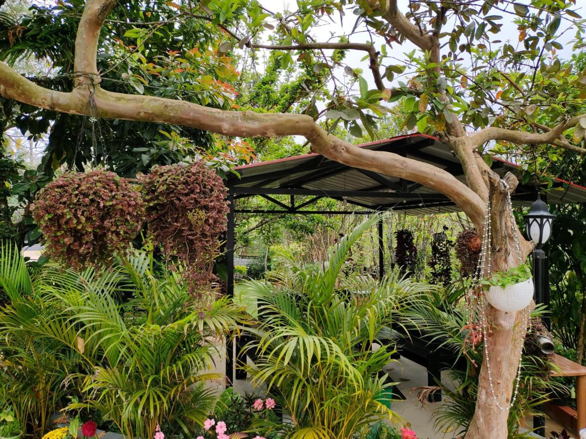 Silver Spruce Entire Nature Villa Kotagiri Exteriér fotografie