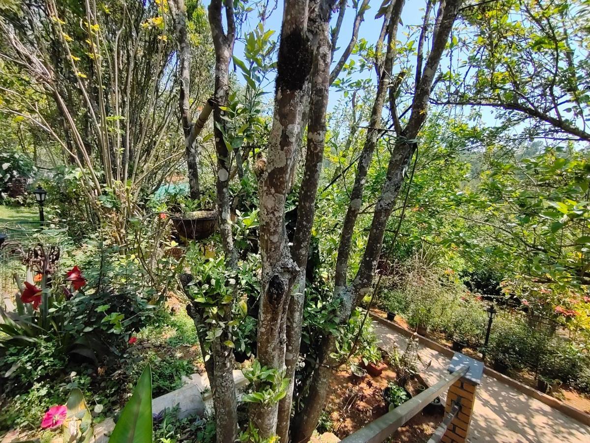Silver Spruce Entire Nature Villa Kotagiri Exteriér fotografie